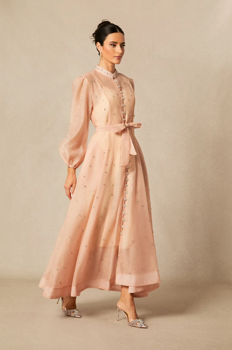 Emelia Crystal Embellished Sheer Maxi Dress - 3