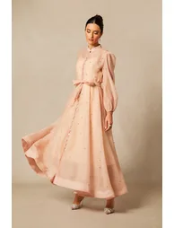 Emelia Crystal Embellished Sheer Maxi Dress - 1
