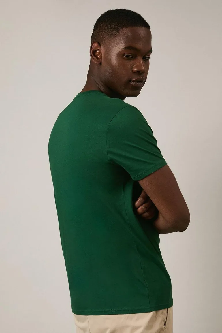 Cotton Pima T Shirt Green - 2