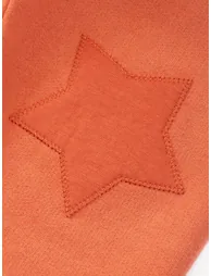 Star Patch Joggers Russet - 3