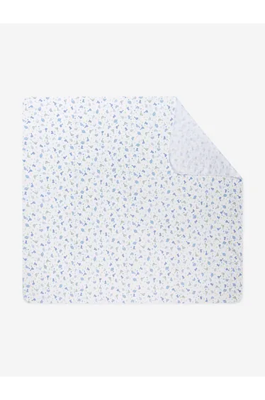 Baby Dinosaur Printed Blanket