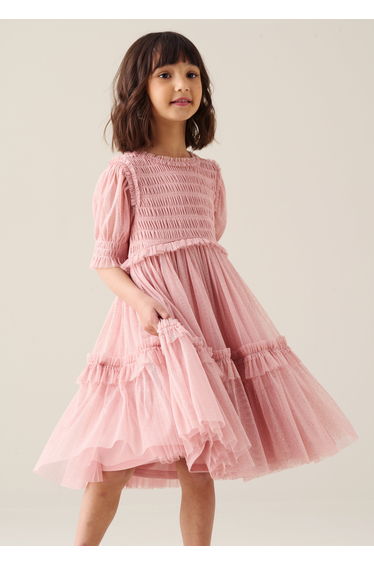 Xeni Mesh Dress