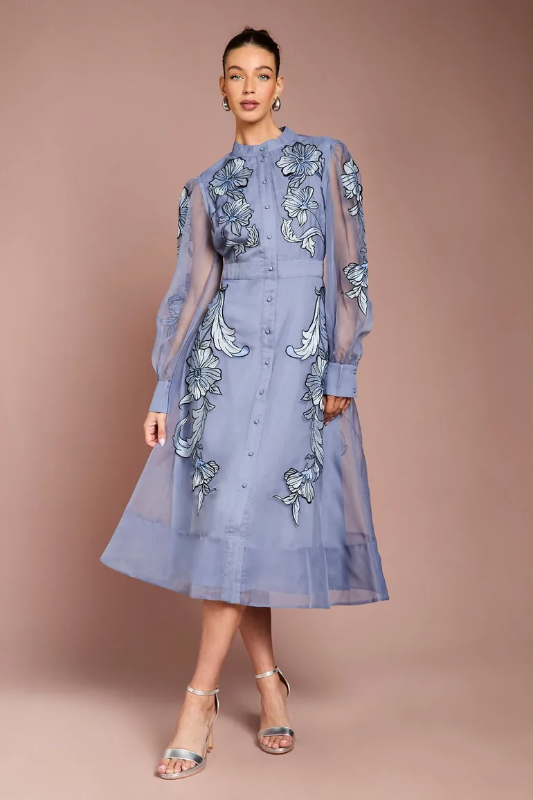 Placement Embroidered Long Sleeve Midi Dress