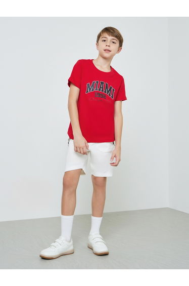 Teen Boys Graphic Print Regular Fit T-Shirt