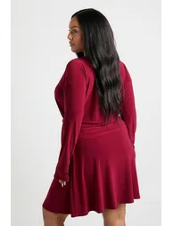 Plus Long Sleeve Ruched Side Waist Panel Skater Dress - berry - 3