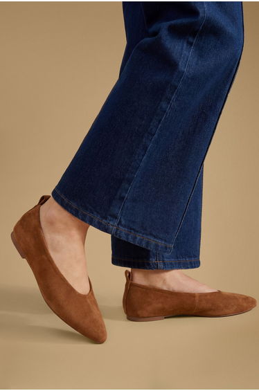 Oriana Faux Suede Pointed Ballet Pumps