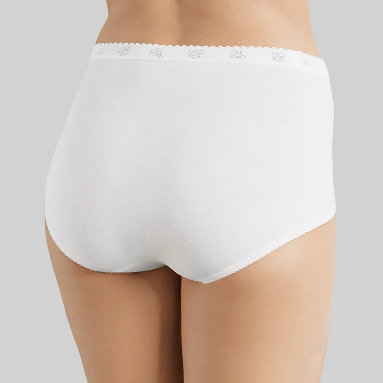 Pack of 3 (+1 Free) Chic Maxi Briefs - 3