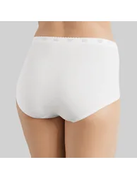Pack of 3 (+1 Free) Chic Maxi Briefs - 3