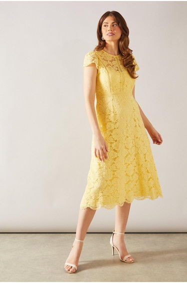 Lace Fit And Flare Midi Dress
