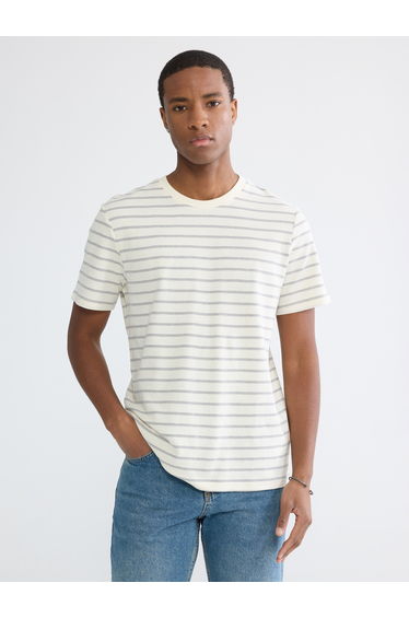 Standard Fit Crew Neck Striped Men's T-Shirt