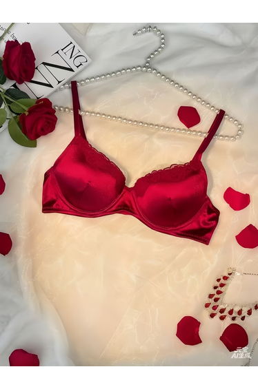 Burgundy Lace Trim Padded Wired Regular Bra