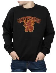 Harry Potter Boys Gryffindor Sport Emblem Sweatshirt - Black - 1