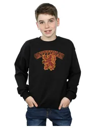 Harry Potter Boys Gryffindor Sport Emblem Sweatshirt - Black