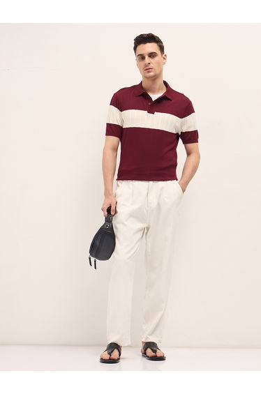 Men Cotton Self Design Polo