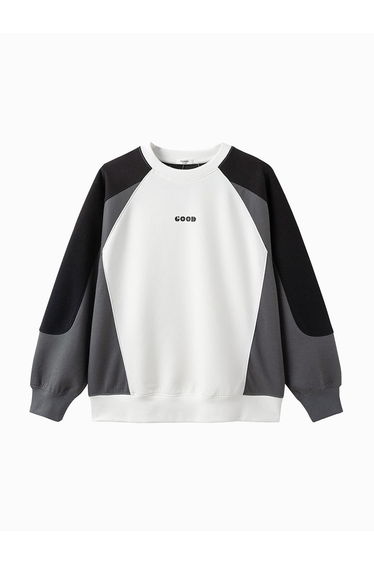 Boys' Colored Sweatshirt With Prints