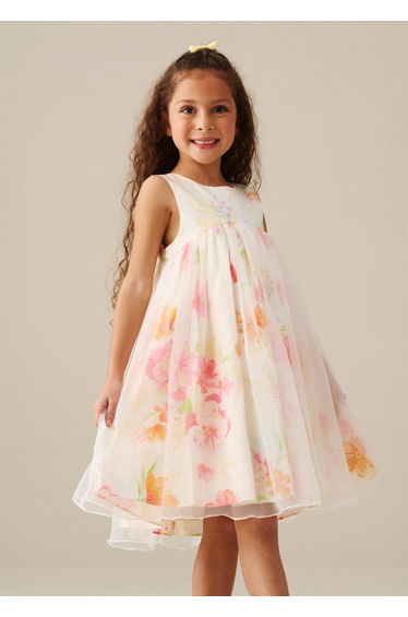 April Organza Overlay Print Dress