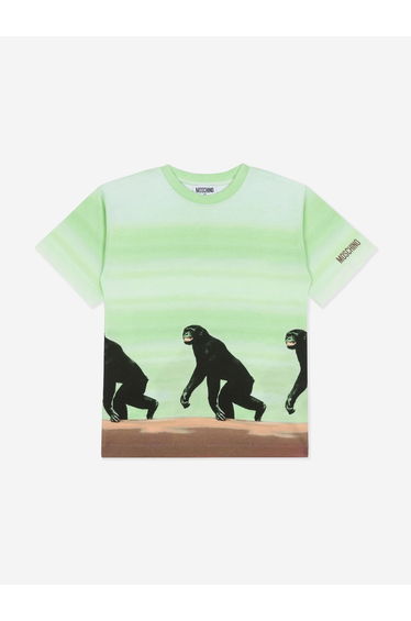 Boys Striped Monkey Print T-Shirt in Green