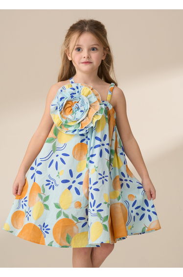 Carrie Multi Print Swing Corsage Dress