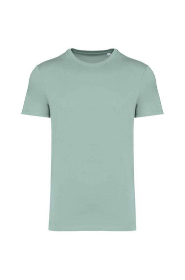 Native Spirit Unisex Adult Heavyweight Slim T-Shirt - Jade Green
