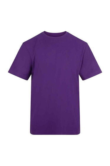 Awdis Unisex Adult T-Shirt - Purple