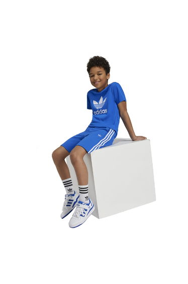 Boy's adidas Originals Junior Adicolor Trefoil Short Sleeve T-Shirt in Blue