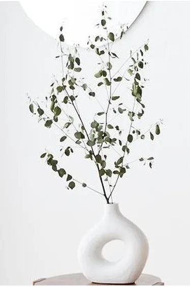 ستارة معتمة مفردة وجهين  مزمومة