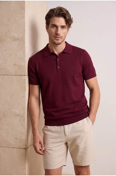 Burgundy Regular/Normal Cut Premium Basic Polo Neck T-Shirt
