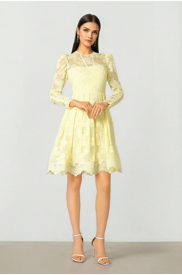 Lace Mini Dress