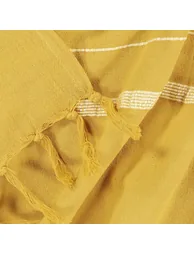 غطاء بشراشيب - 2