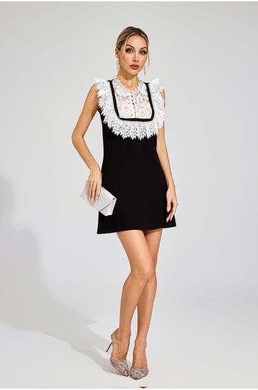 Warren Black Lace Mini Dress
