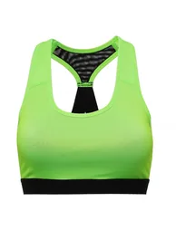 TriDri Womens/Ladies Performance Sports Bra (Medium Impact) - Lightning Green - 1