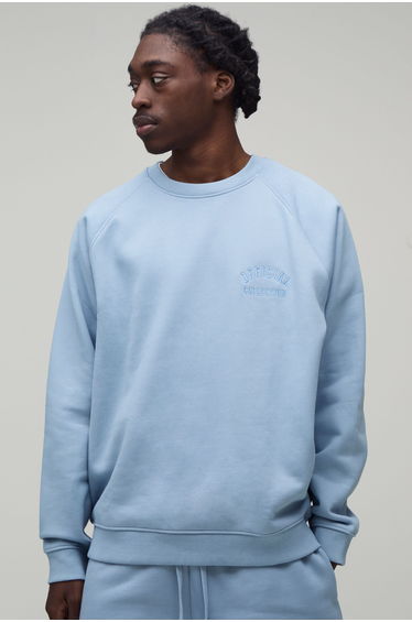 Heavyweight Oversized Raglan Sleeve Embroidered Sweatshirt - dusty blue