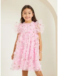 Girls Pink Mesh Flower Embroidered Dress - 1