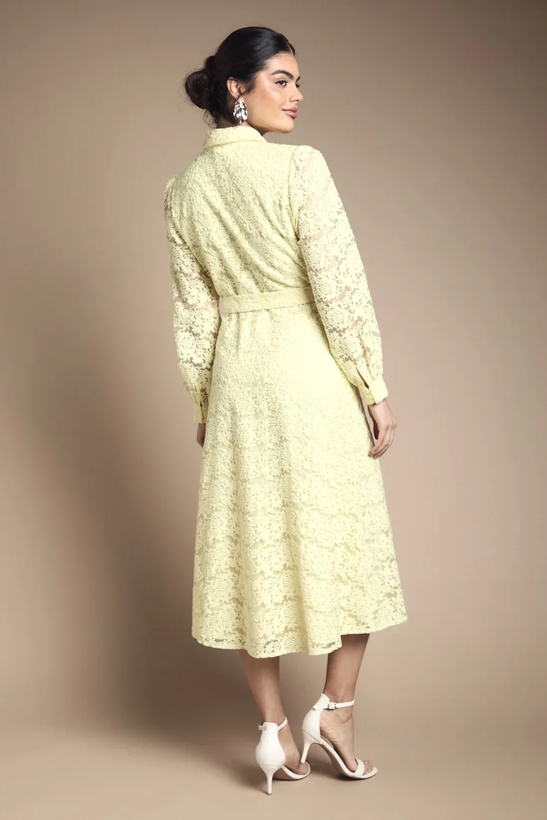 Embroidered Floral Organza Shirt Midi Dress - 2
