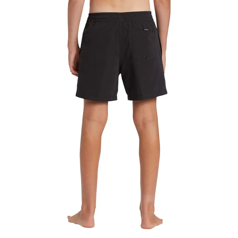 Quiksilver Kids Everyday 14" Swim Shorts - 2