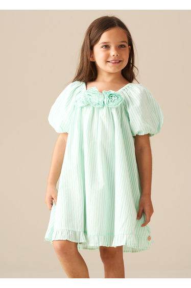 Coletta Corsage Stripe Swing Dress