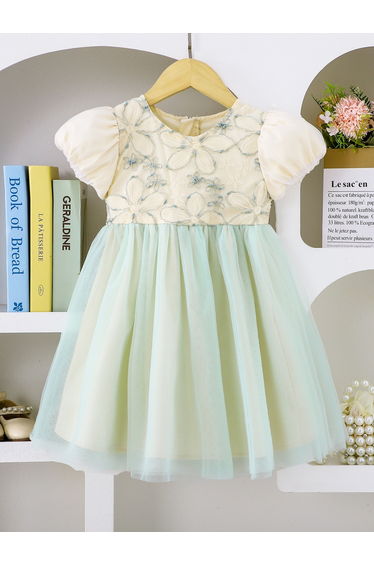 Girls Floral Embroidered Sleeve Mesh Dress