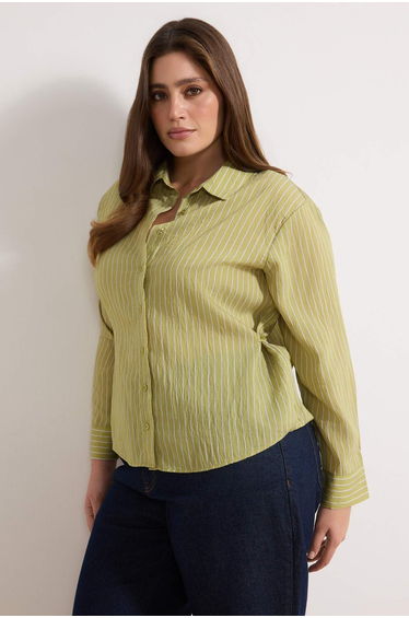 Green Striped Long Sleeve Plus Size Shirt