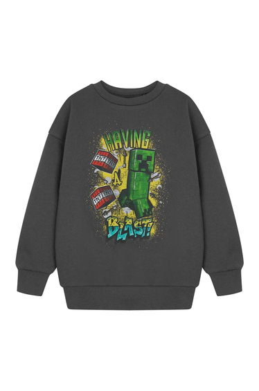Minecraft Boys Having A Blast Sweatshirt - Grey
