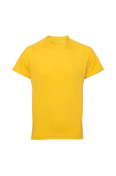 Tri Dri Mens Panelled Short Sleeve T-Shirt - Sun Yellow