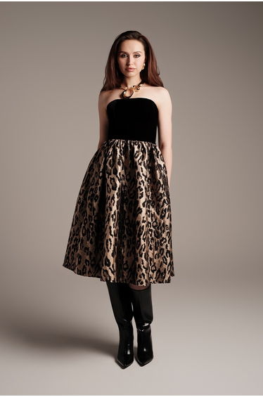 Velvet & Brocade Dress