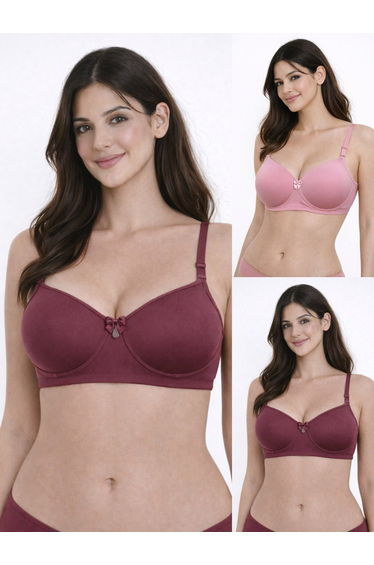 Pack of 2- Padded Non-Wired Full Coverage Soft Cup T-Shirt Bra