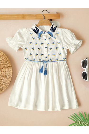 Embroidered Puff Sleeve Knee-Length Dress