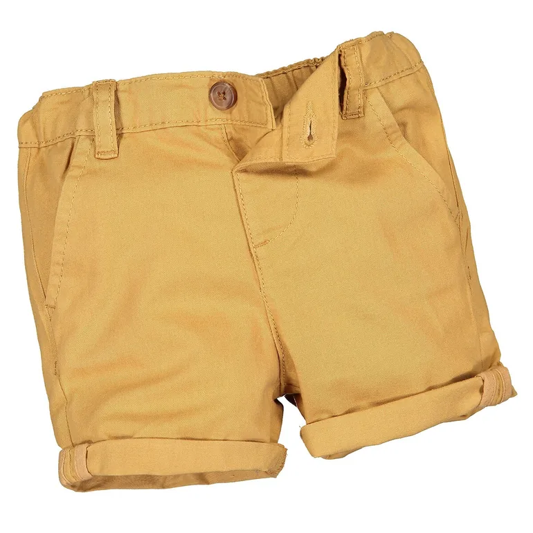 Cotton Chino Shorts - 3