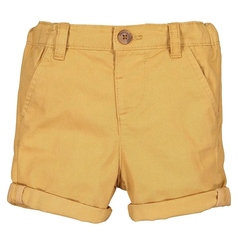 Cotton Chino Shorts