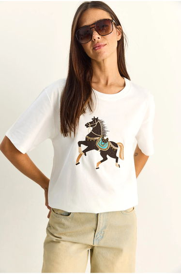 LUCCI Oversized Embroidered Sequin Crew Neck T-Shirt