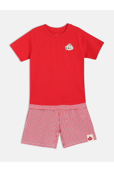 Boys Cotton Round Neck T-Shirt and Striped Shorts Set