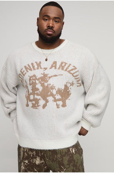 Plus Brushed Embroidered Western Oversized Jumper - ecru