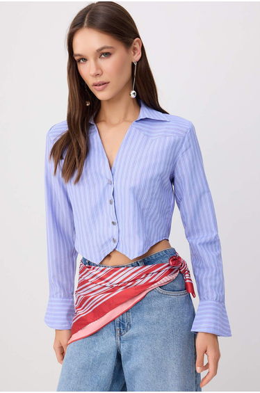 Blue-Multicolor Striped Mini Plaid Fitted Crop Shirt