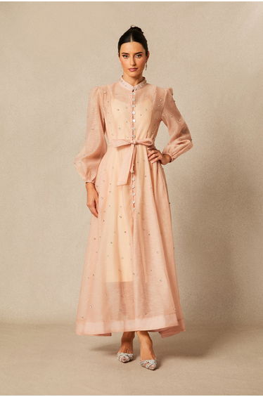 Emelia Crystal Embellished Sheer Maxi Dress